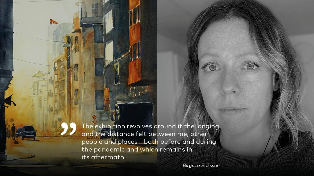 Image and quote by Birgitta Eriksson, artist. Digital exhibition at the Nordic Institute on Åland