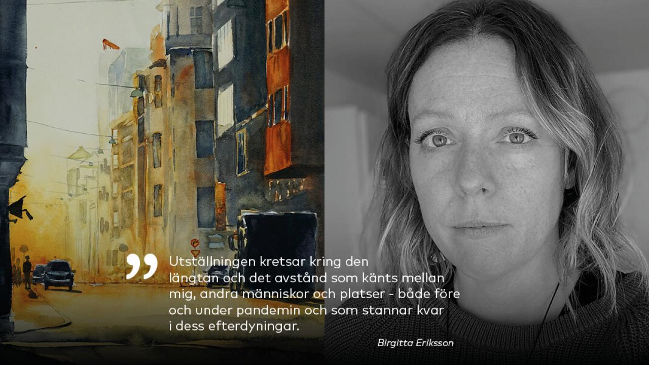 Bild och citat av Birgitta Eriksson, konstnär. Digital utställning vid Nordens institut på Åland