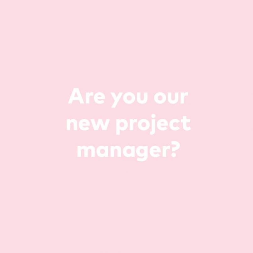 Are you our new project manager