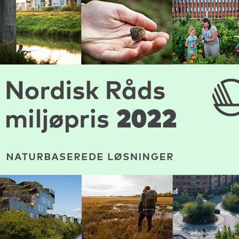 Nominera till Nordiska rådets miljöpris!