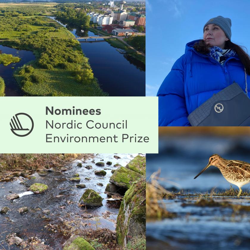 Mariehamn City and Nabbens Våtmark nominated for the Nordic Council's environmental award 2022
